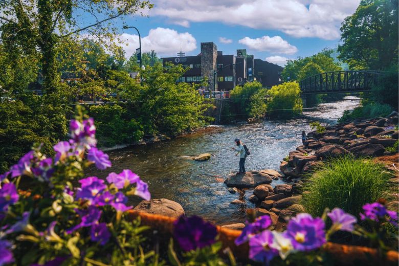 7 Tips for Trout Fishing in Gatlinburg